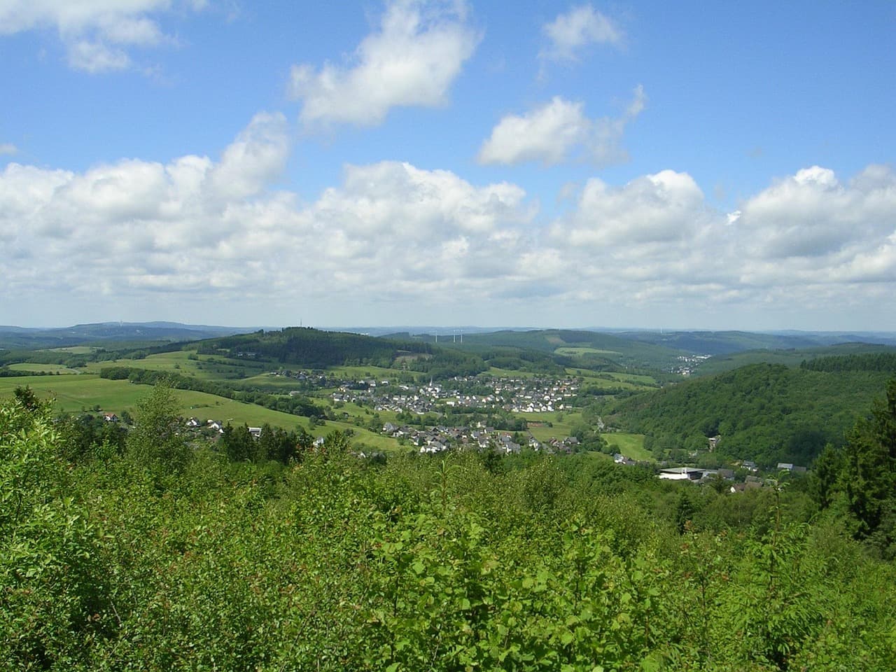 Waldlandschaft im Siegerland